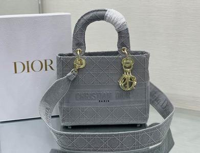 DIOR Handbags 584